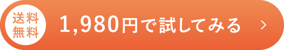 1,980円で試してみる