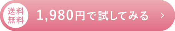 1,980円で試してみる