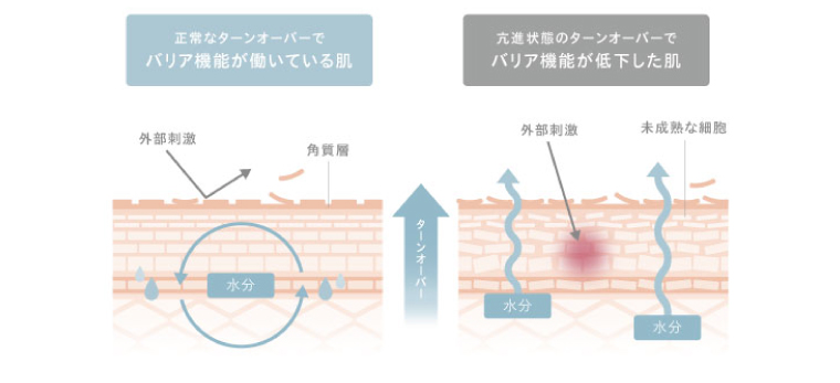 イメージ写真