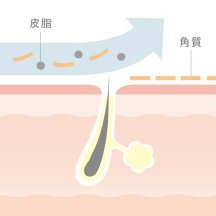 こだわり