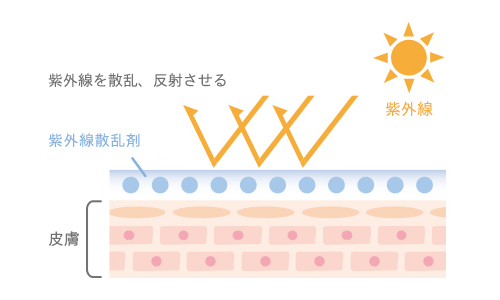 高い紫外線防止効果